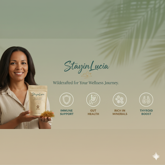 🌴 The True Gold of the Caribbean: Why Saint Lucia Sea Moss is the Best in the World